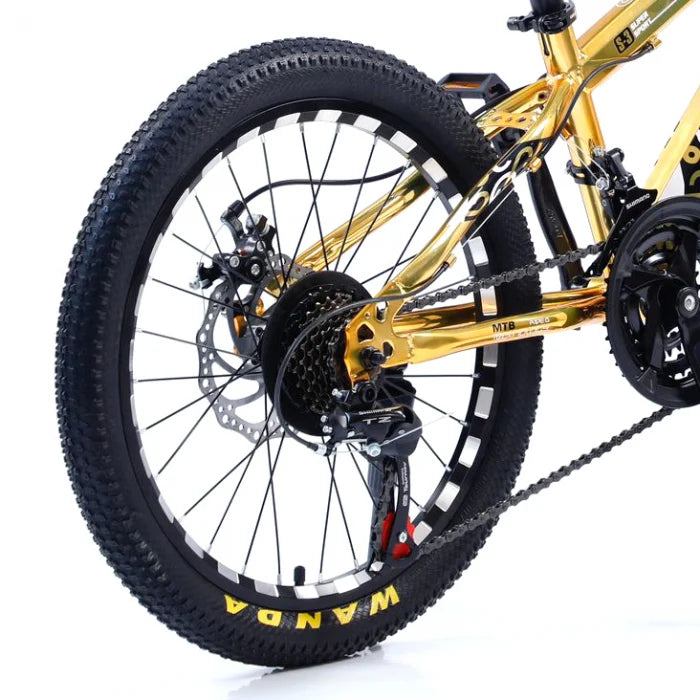 Bicicletă Caraiman, roți 20 sau 24 inch, cadru oțel, frâne pe disc, galbenă