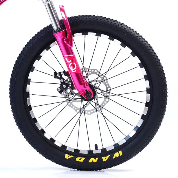Bicicletă Caraiman, roți 20 sau 24 inch, cadru oțel, frâne pe disc, roz
