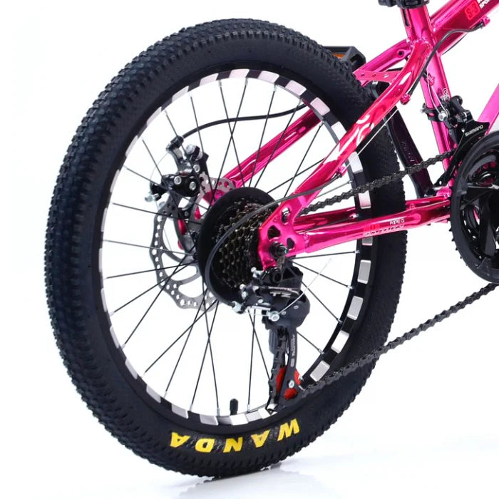 Bicicletă Caraiman, roți 20 sau 24 inch, cadru oțel, frâne pe disc, roz