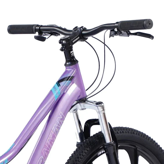 Bicicletă Caraiman, roți 24 sau 26 inch, cadru oțel, frâne pe disc, mov