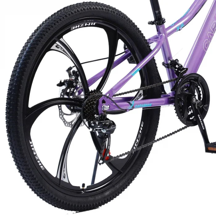 Bicicletă Caraiman, roți 24 sau 26 inch, cadru oțel, frâne pe disc, mov